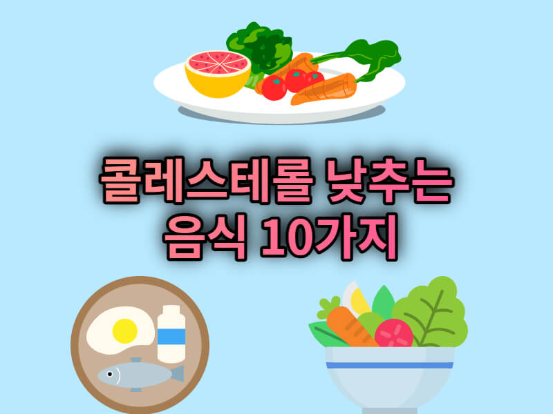 콜레스테롤 낮추는 음식