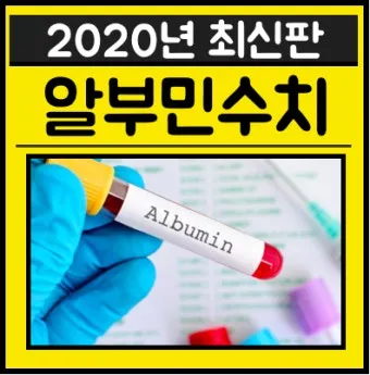알부민 영양제 추천 주사 가격으로_16