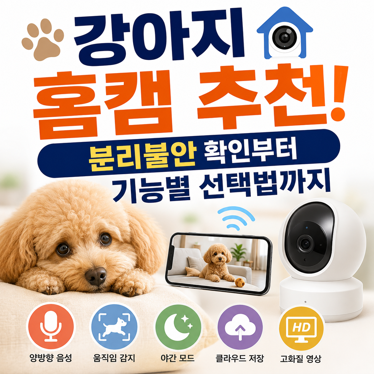 강아지 홈캠