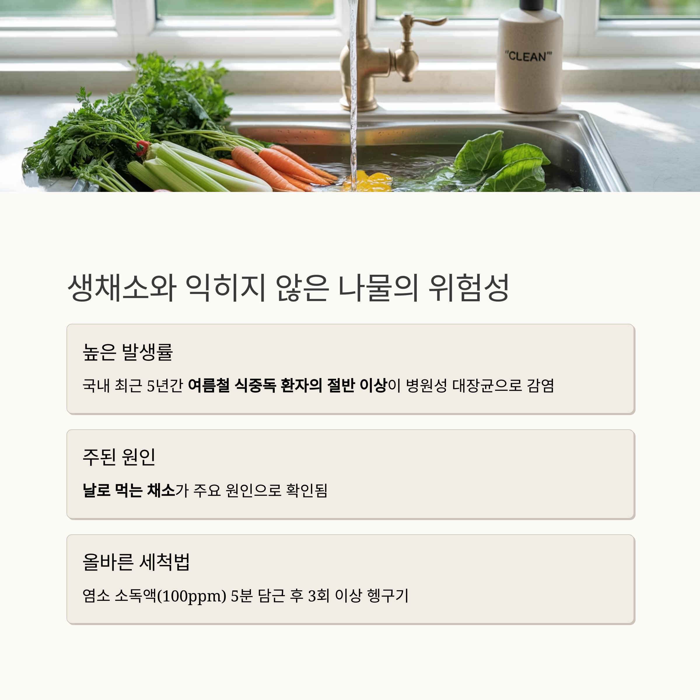 생채소와 익히지 않은 나물은 절대 피해야 합니다