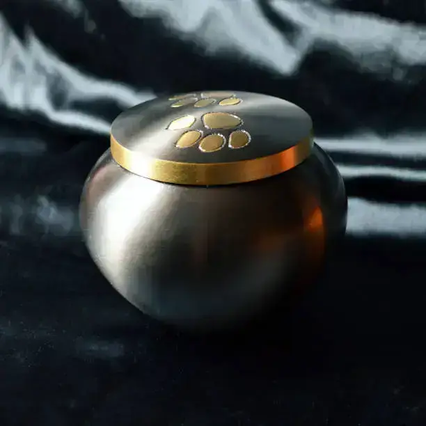 반려동물 장례지도사 자격증