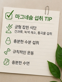 마그네슘