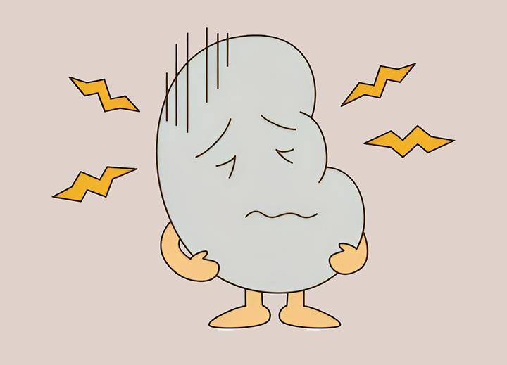 결석으로-고통받는-신장