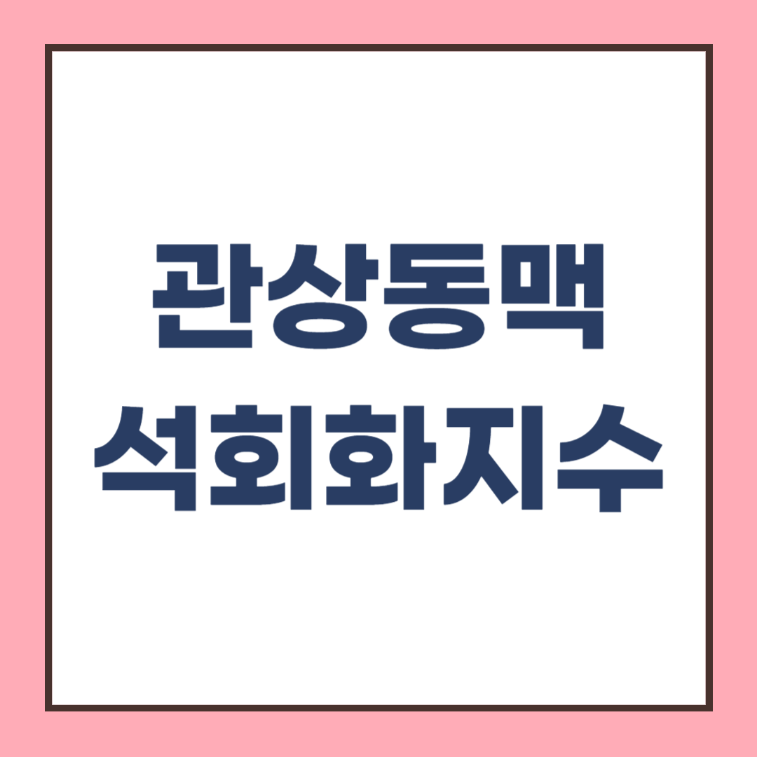 관상동맥 석회화지수와 CT 검사하고 치료하여 심장 지키기