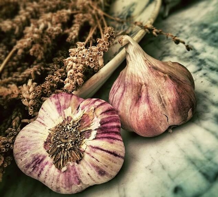 글루타치온효능