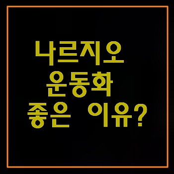 나르지오 운동화 좋은 이유