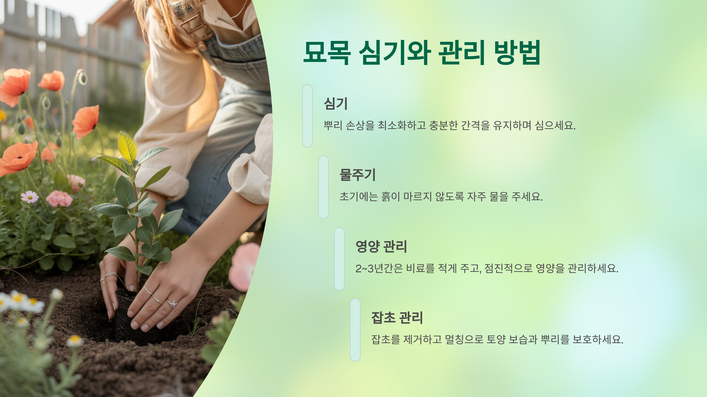 사랑스러운 블루베리 꽃과 열매 이야기 🌸