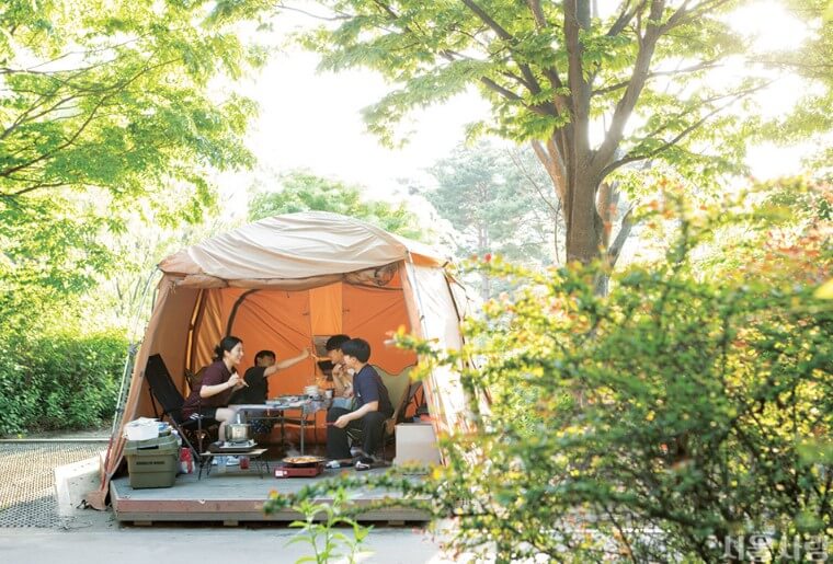서울시 캠핑장