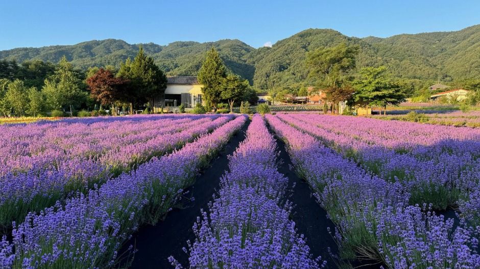 고성 가볼만한곳 베스트10