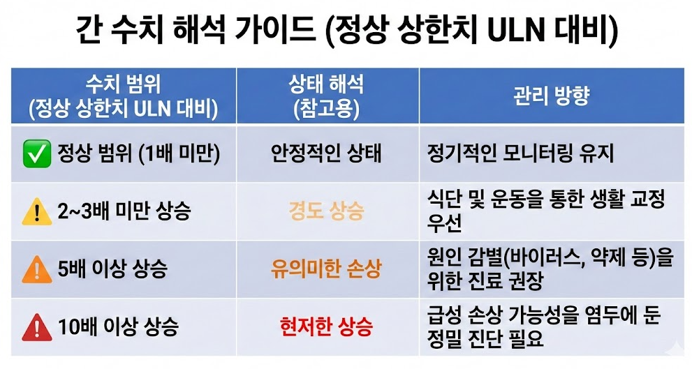 AST ALT 정상 상한치 ULN 대비 배수에 따른 간 수치 해석 가이드 표 인포그래픽