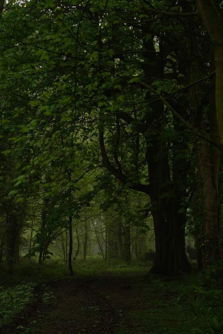 alba