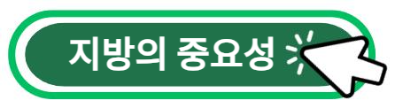 지방의 중요성 알아보기