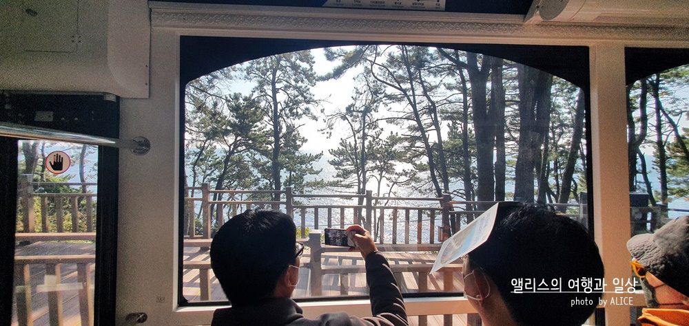 블루라인파크 해운대 해변열차 &amp; 스카이캡슐 해운대뷰