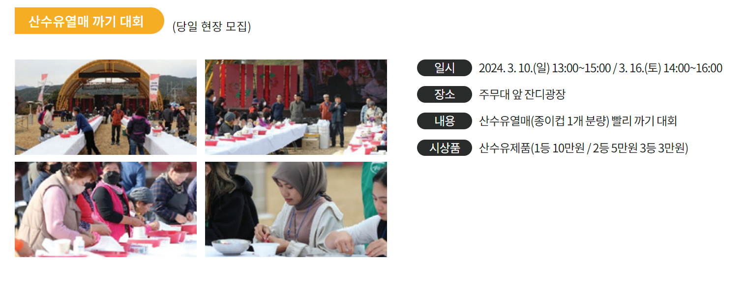 3월꽃축제