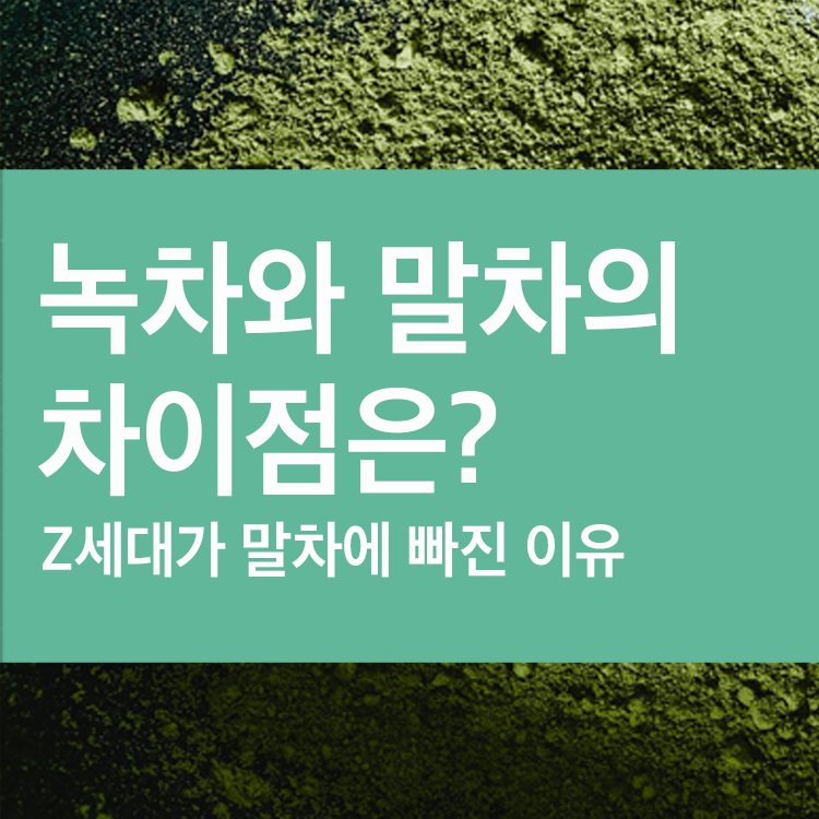 녹차와 말차 차이점, 그리고 말차가 주목받는 이유