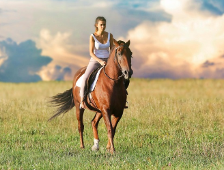 말을 타고 가는 꿈 해몽 주의할 점