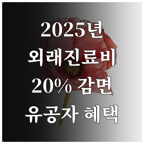 2025 국가유공자 외래 진료비 20..