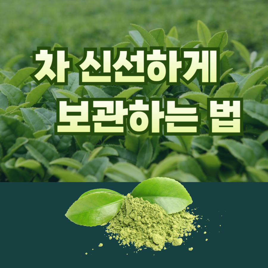 차 신선하게 보관하는 법
