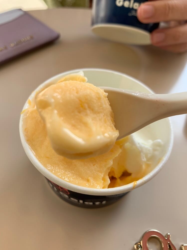 한라봉 셔벗 아이스크림