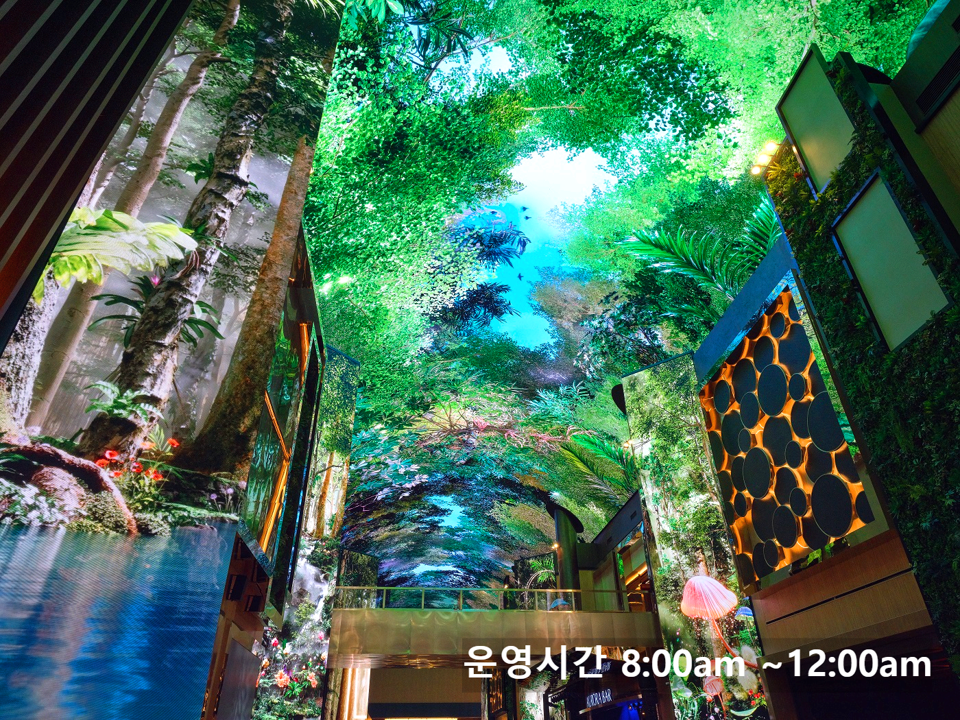 인스파이어 오로라