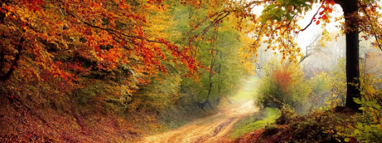 가평 가볼만한곳