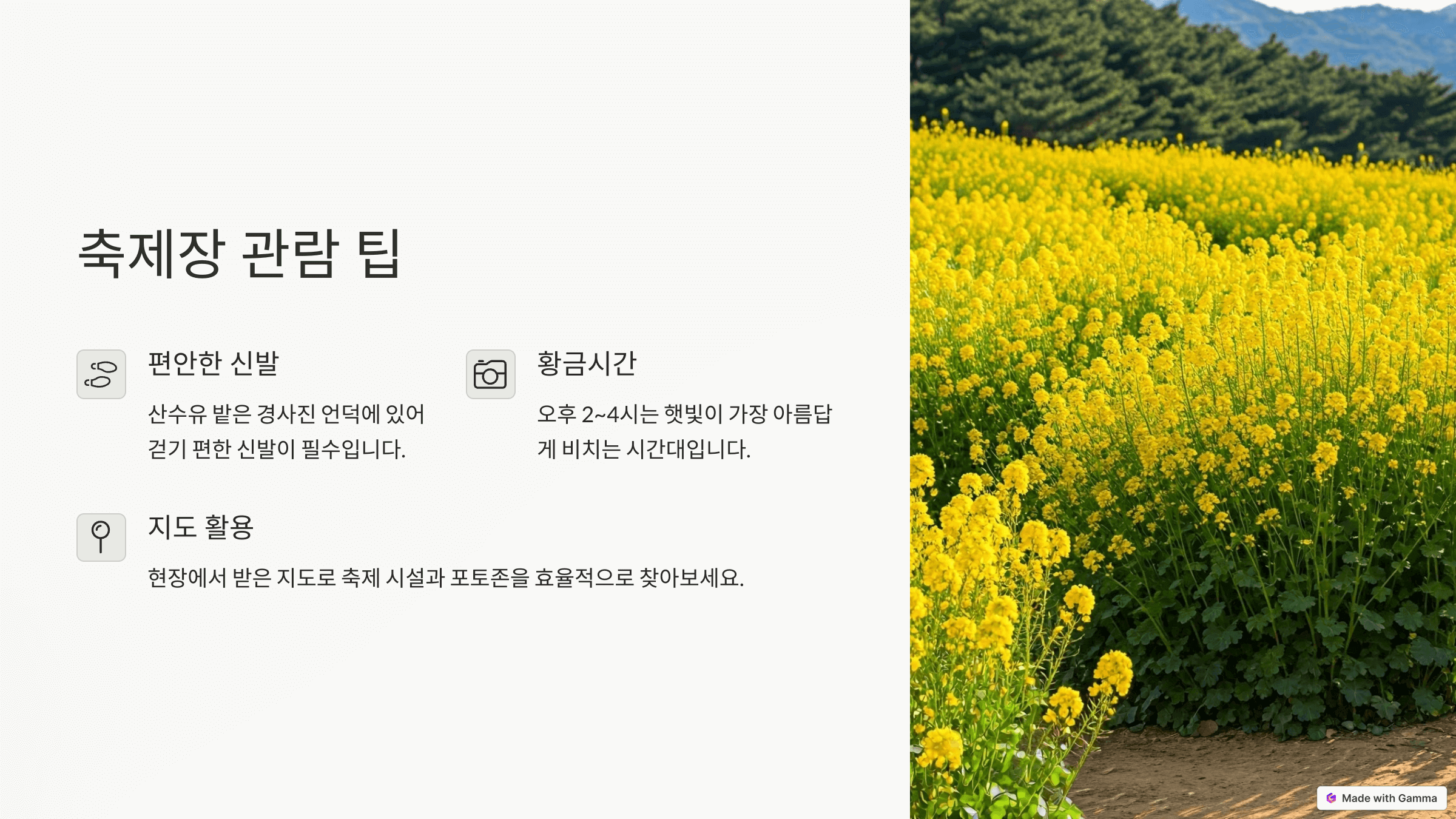 이천백사 산수유꽃축제