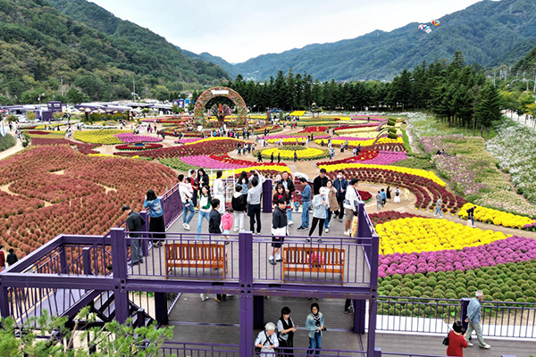 인제가을꽃축제