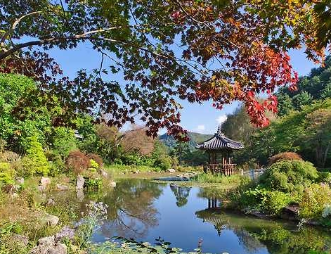 가평 아침 고요 수목원