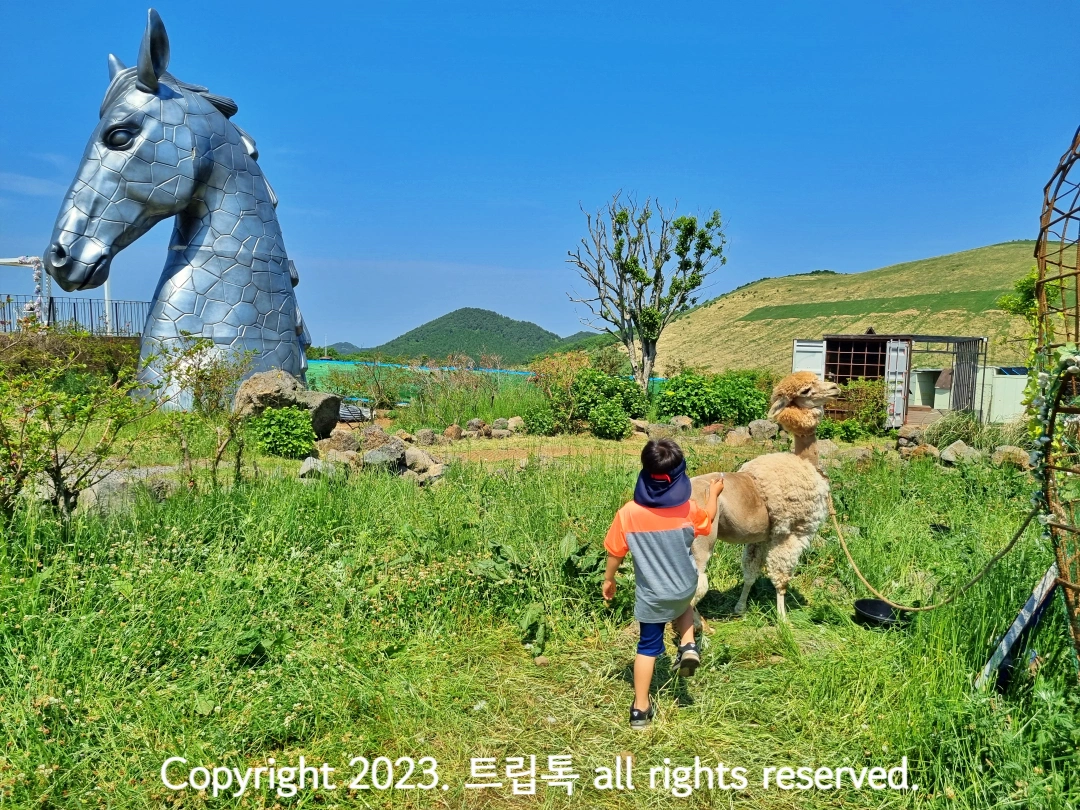 은빛 말머리 조각상 오른편에서 아이가 알파카를 만진다.