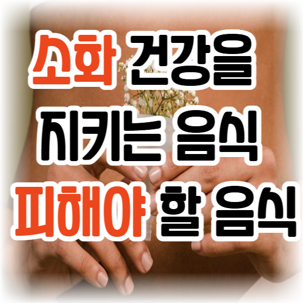 소화 건강을 지키는 음식/ 피해야 할 음식
