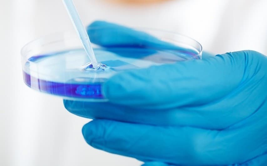 미생물 기반 바이오 플라스틱이란? 친환경 소재의 미래