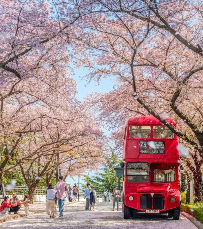 대구-이월드-블라썸-피크닉