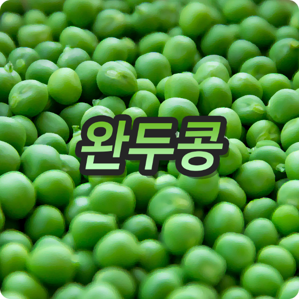 완두콩