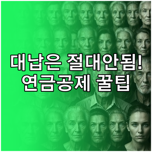 국민연금 보험료 소득공제 본인 명의 ..