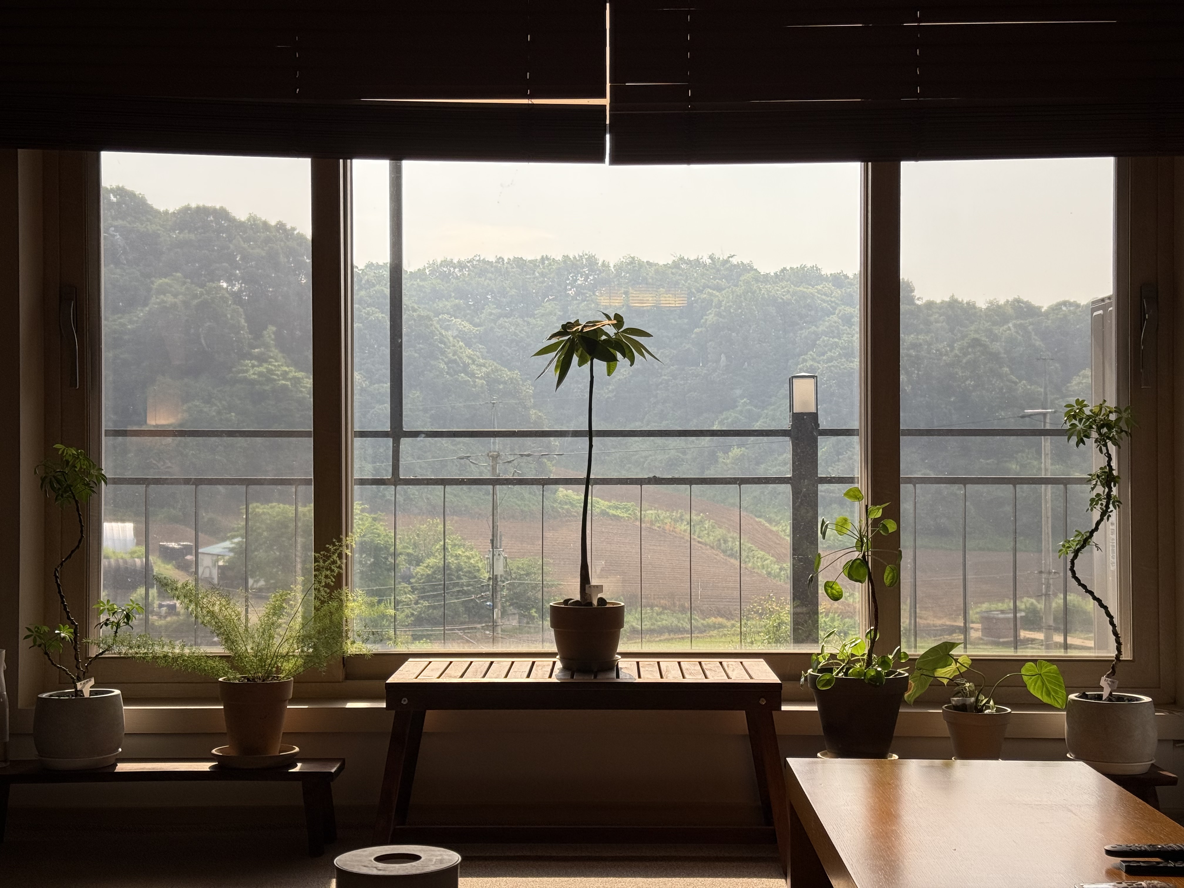 주말 오후 거실 창에 그림같은 바깥 풍경