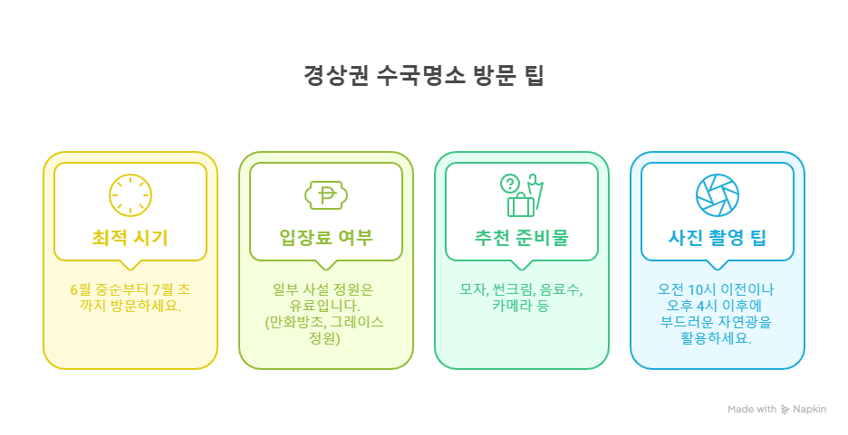 경상권 수국명소 추천 7곳, 여름의 정취를 만끽할 수 있는 곳