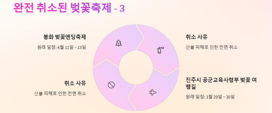 벚꽃축제 취소, 축소, 연기