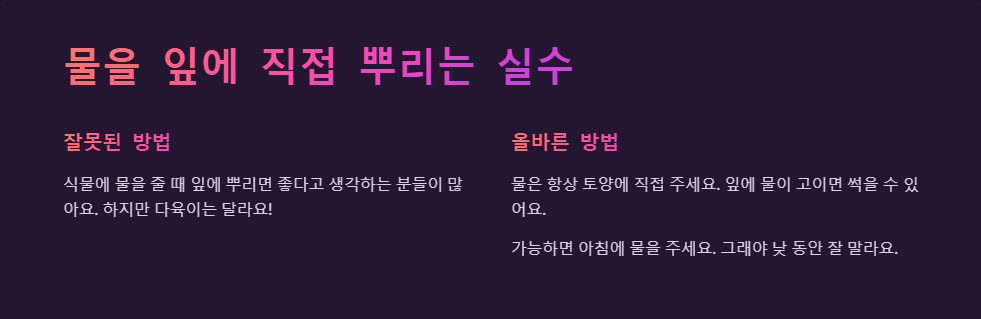 다육이 물주기 실수