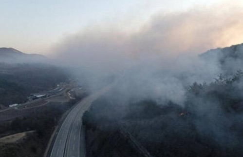 경북 산불 긴급 재난지원금 신청하기 관련사진