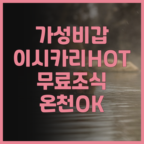 가성비 최고 슈퍼 호텔 이시카리! 이