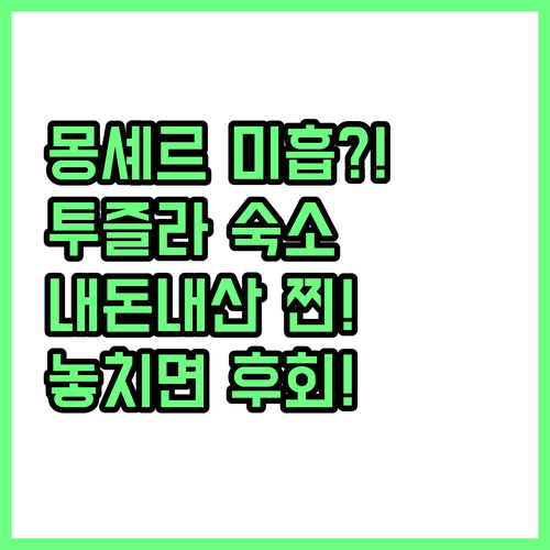 몽셰르 미흡 호텔 솔직 후기 투즐라 ..