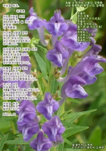 기분 좋은 아침 인사말 문구 이미지 모음들_23