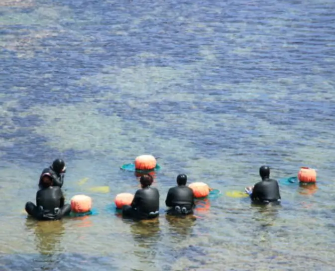숨병 원인과 증상
