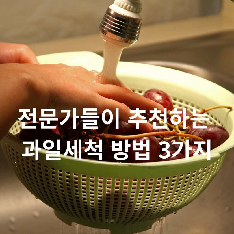 과일세척방법