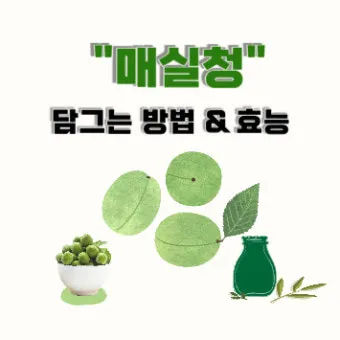 매실청 담그는법 황금비율과 숙성관리 노하우 정리_14