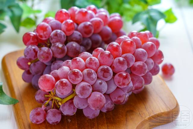 백내장 좋은 음식 백내장음식 포도