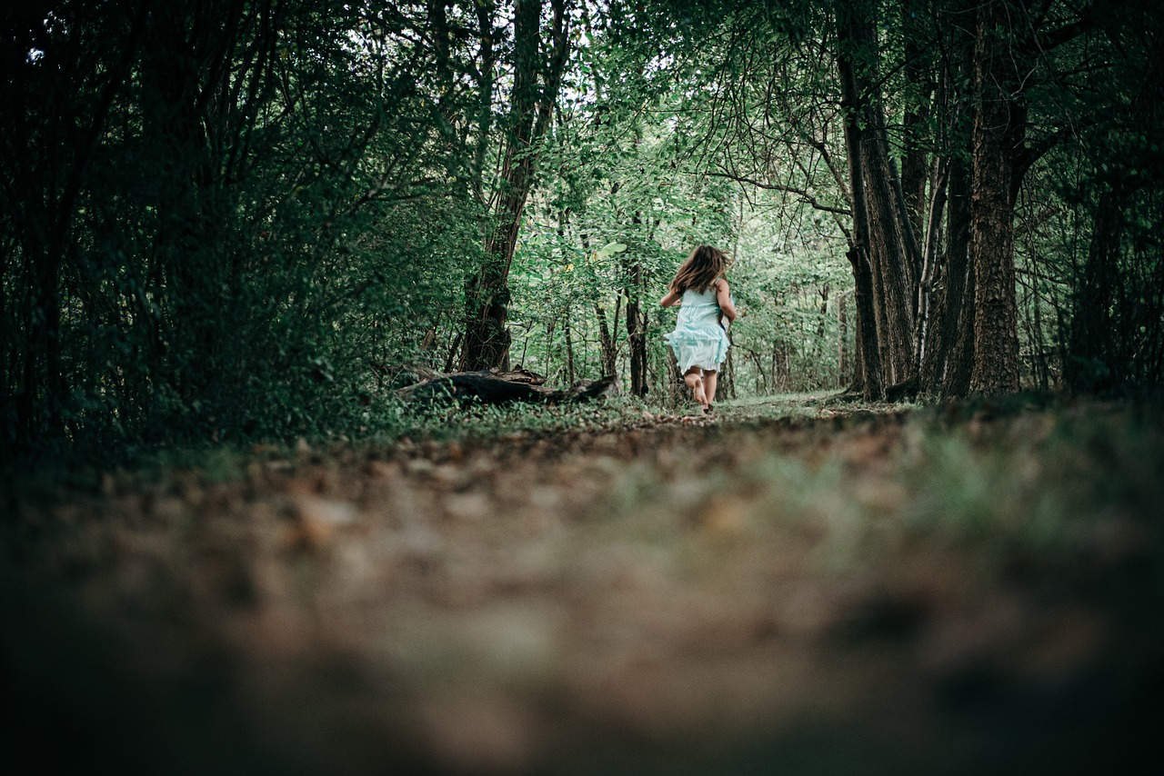 숲나들e 예약 가이드