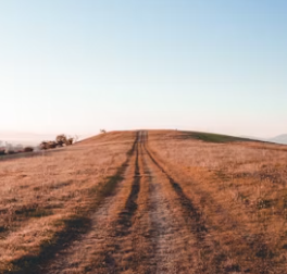 토지거래 허가제란 토지거래 허가제 해제