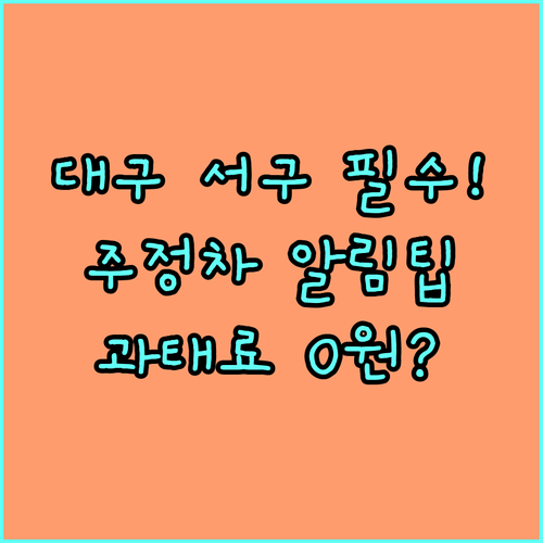 대구 서구 주정차 문자 알림 서비스 ..