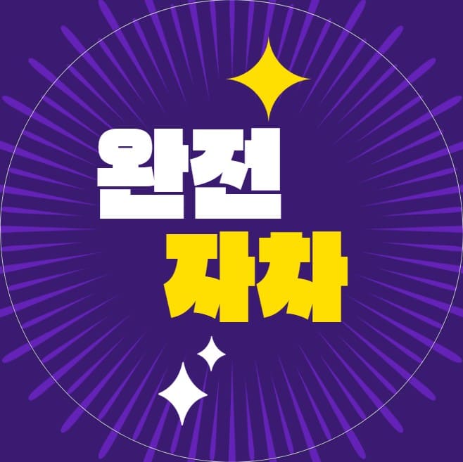 완전-자차-필수